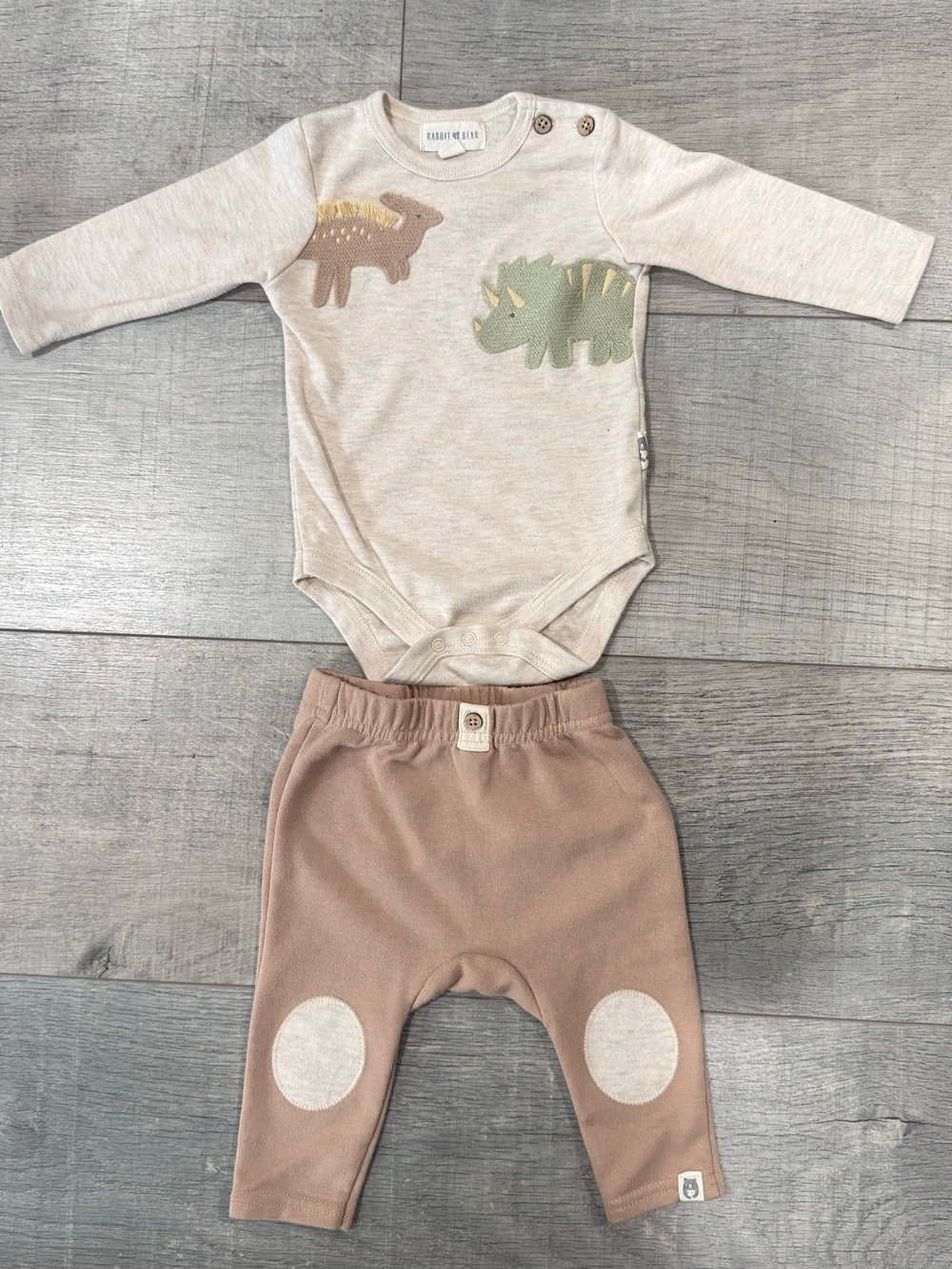 Rabbit + Bear Baby Dinosaur Bodysuit & Pants Set Size 3–6 Months Neutral Outfit